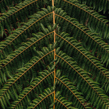 Load image into Gallery viewer, FERN GREEN TRAVEL HAMMOCK