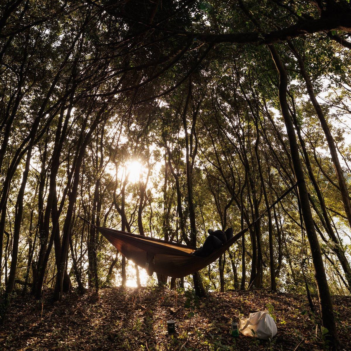 Bush walks